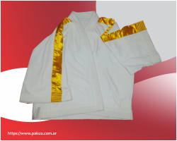 Chaqueta de Armas de Corte